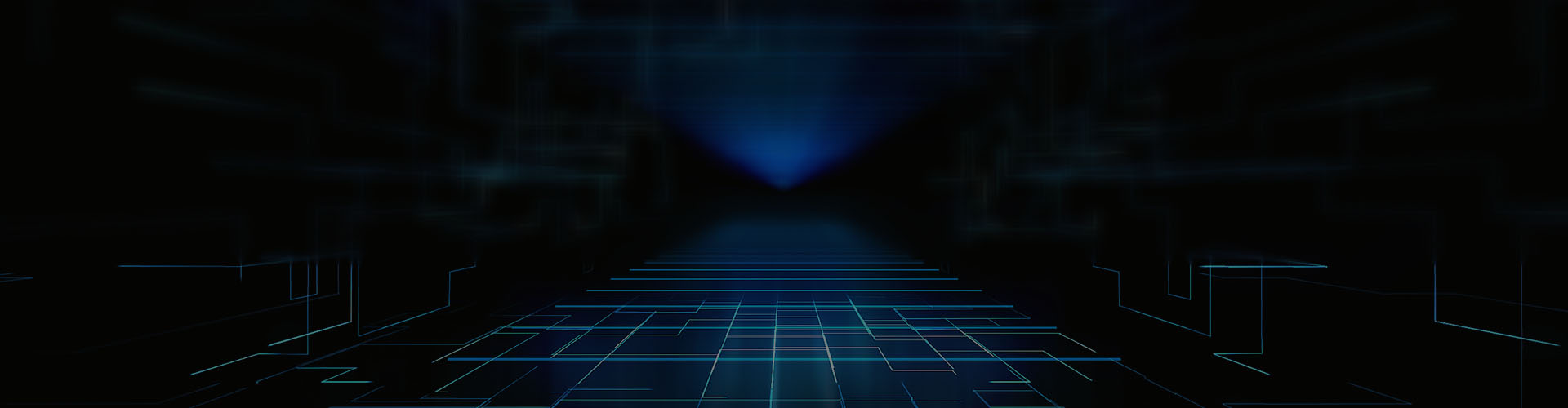 互动网景科技， 企业数字信息化服务商